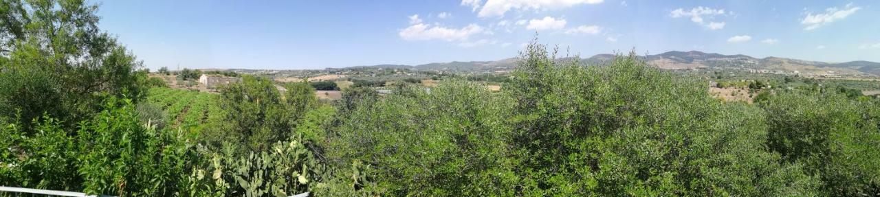 Poggio Del Gallo Chiaramonte Gulfi Eksteriør bilde